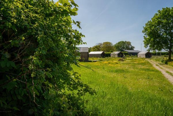 Natuurhuisjes Lust En Last Sommelsdijk Экстерьер фото